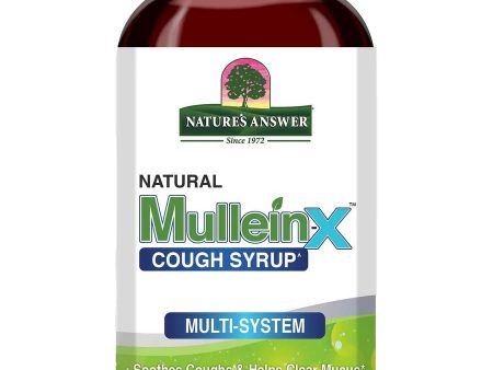 Nature s Answer, Mullein-X Multi-System Cough Syrup, 4 fl oz on Sale