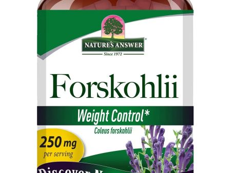 Nature s Answer, Forskohlli, 60 Vegetarian Capsules Discount