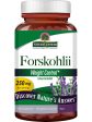 Nature s Answer, Forskohlli, 60 Vegetarian Capsules Discount