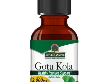 Nature s Answer, Gotu-Kola Extract, Alcohol-Free, 1 fl oz Fashion