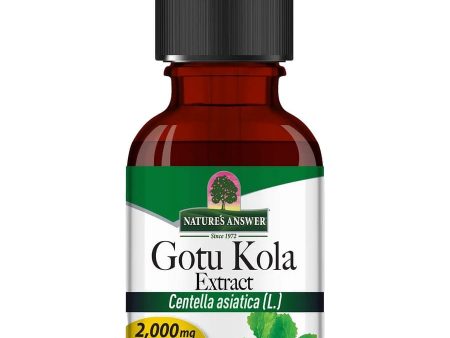 Nature s Answer, Gotu-Kola Extract, 2 fl oz Online Sale