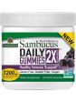 Nature s Answer, Sambucus Daily Gummies, 2X Strength, 45 Pectin Gummies Online Hot Sale