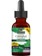 Nature s Answer, Concentrated Chlorophyll Liquid Drops, 2 fl oz Online