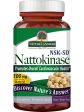 Nature s Answer, Nattokinase, 100 mg (2000 FU), 60 Vegetarian Capsules For Sale