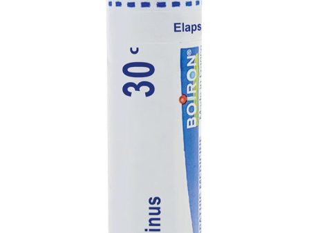 Boiron, Elaps Corallinus 30C, 80 Pellets For Cheap