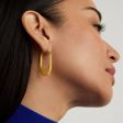 Crosby Hinged Hoop Earrings - Gold Online Hot Sale