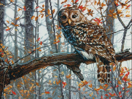 Dimensions Cross Stitch Kit 70-35311 Wise Owl Online Hot Sale