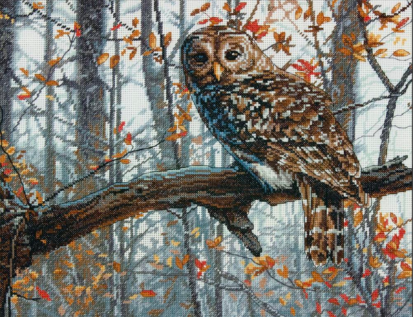 Dimensions Cross Stitch Kit 70-35311 Wise Owl Online Hot Sale