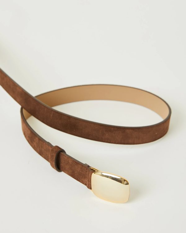 Jacob Suede Belt - Chocolate Gold For Discount