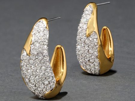 Solanales Crystal Hoop Earrings - Gold Hot on Sale