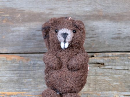 Beaver Needle Felting Kit from The General Bean For Sale