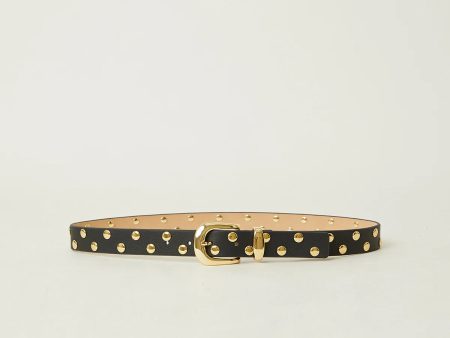 Juniper Studded Leather Belt - Black Gold Cheap